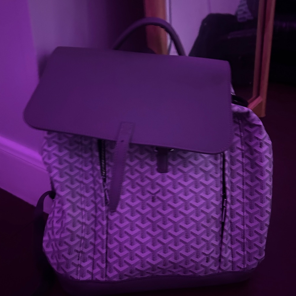 Stylish Gray Backpack